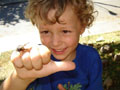 Centre of Circlewisdom - Children's Programs